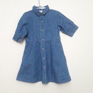 Blue Denim Button-Up Dress
